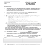 In Form Paupers Form For Florida Fill Out And Sign Printable PDF