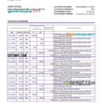 Pakistan Meezan Bank Statement Excel And PDF Template GOTEMPL