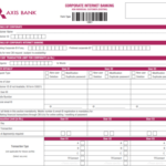 PDF Axis Bank Corporate Net Banking Form DCSD IN