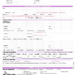 PDF Axis Bank Fixed Deposite FD Form PDF Download In English InstaPDF