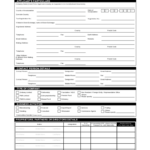 Standard Chartered Online 2020 2022 Fill And Sign Printable Template