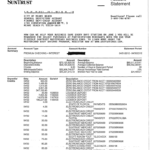 Suntrust Bank Statement Template 2020 2021 Fill And Sign Printable